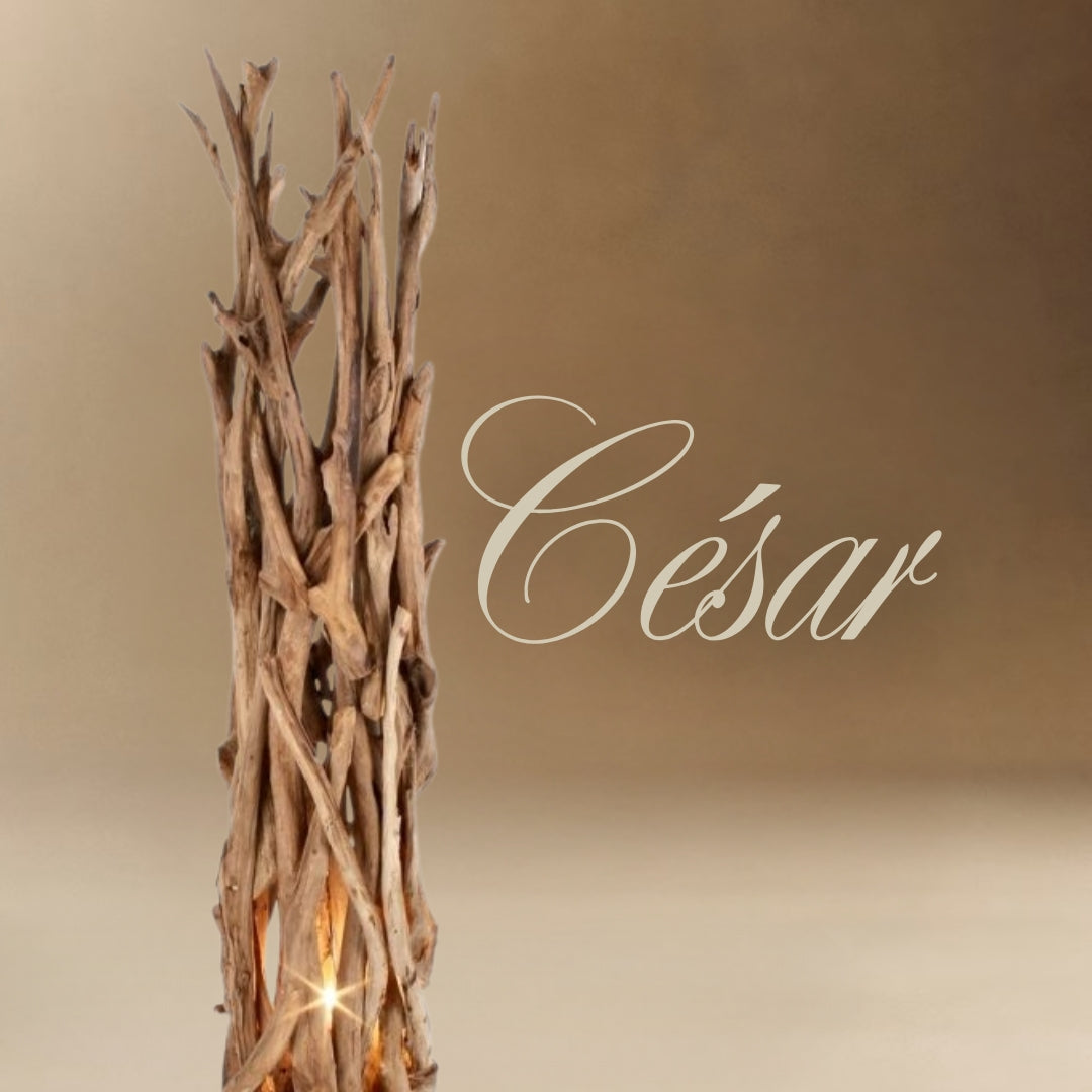 César